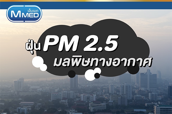 ฝุ่น PM 2.5 มลพิษทางอากาศ